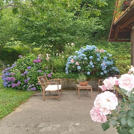 Brod na Kupi Holiday Home Vesna מראה חיצוני תמונה