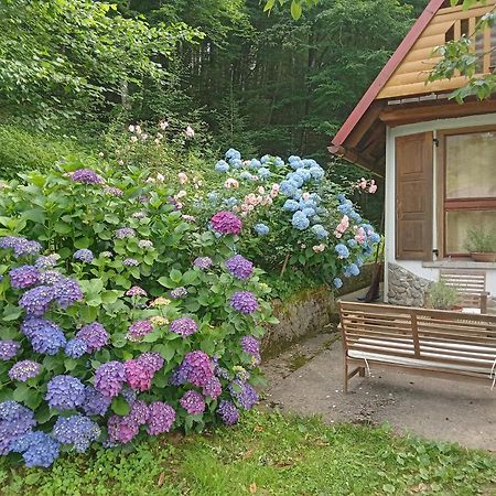 Brod na Kupi Holiday Home Vesna מראה חיצוני תמונה