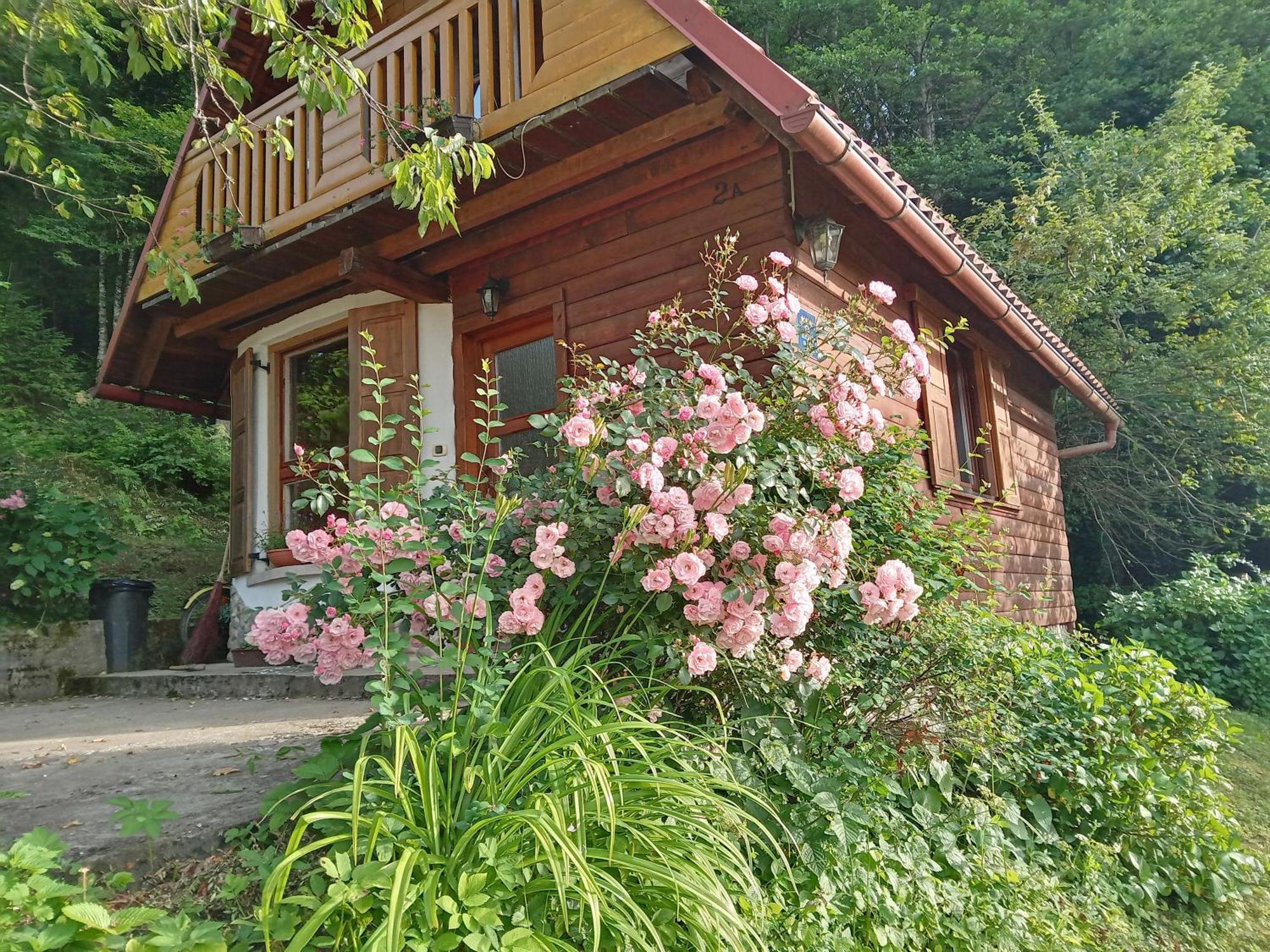 Brod na Kupi Holiday Home Vesna מראה חיצוני תמונה