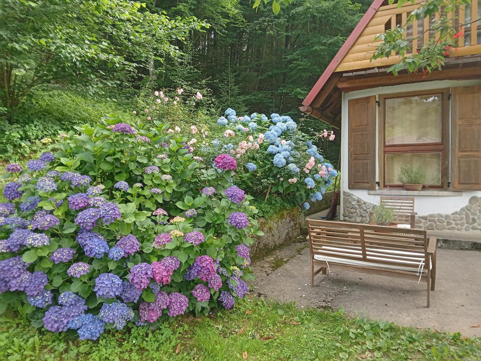 Brod na Kupi Holiday Home Vesna מראה חיצוני תמונה